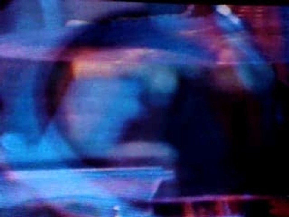 Björk - Paléo 2007