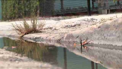 Clinton pide en Miami recursos federales de emergencia para combatir el zika