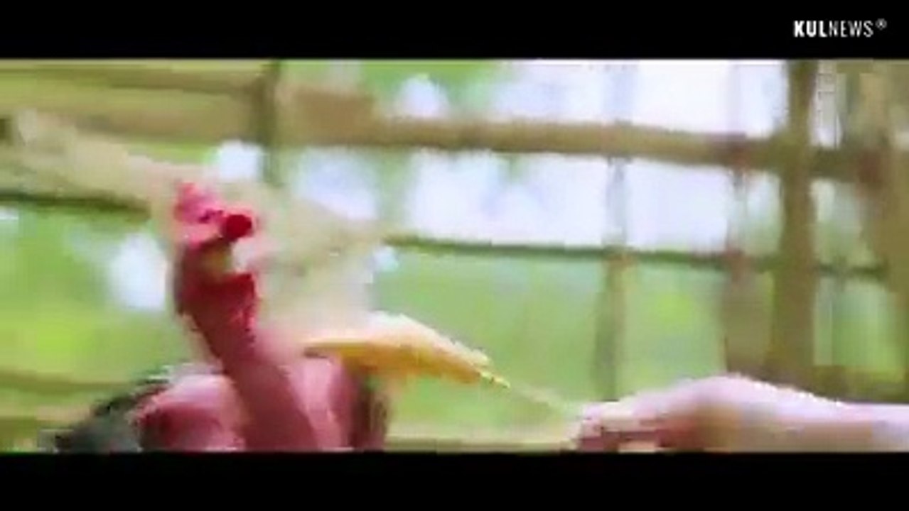Supper chicken
