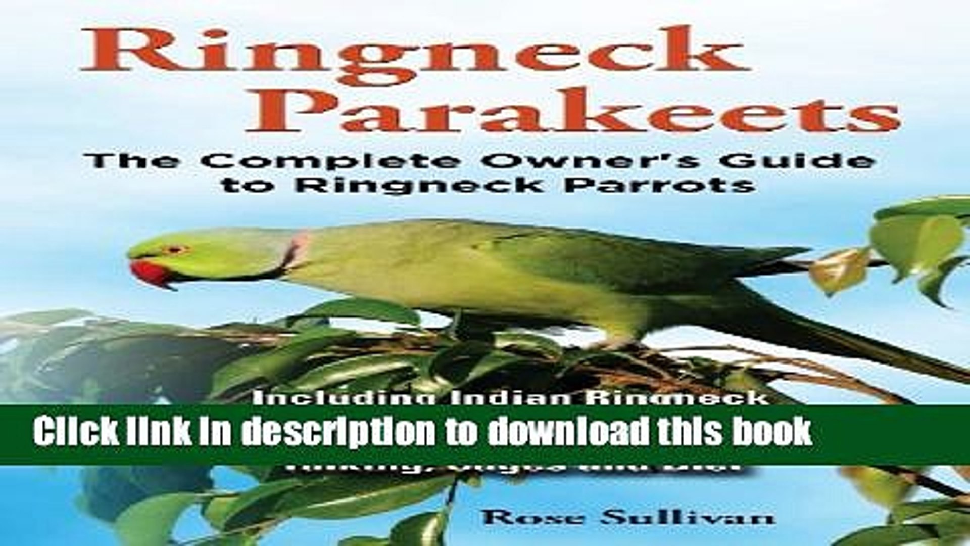 indian ringneck parrot talking training