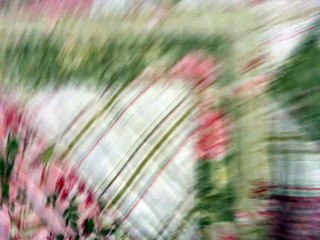 Sesame Street Elmo Chris brown see the signs