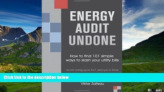 Full [PDF] Downlaod  Energy Audit Undone. How to Find 101 Simple Ways to Slash Your Utility