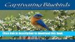 [Download] Captivating Bluebirds: Exceptional Images and Observations (Wildlife Appreciation)