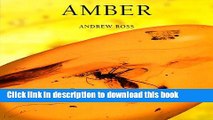 [Popular] Amber Hardcover OnlineCollection