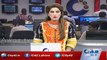 Maryam Nawaz worried about Fake & Parody Twitter Accounts