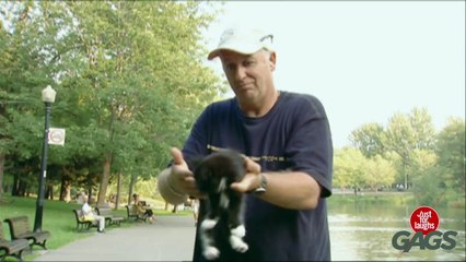 Kitten in a Bag - Throwback Thursday