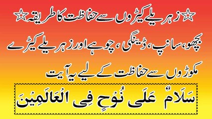 how to get rid of rats in urdu