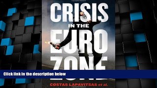 Big Deals  Crisis in the Eurozone  Free Full Read Best Seller