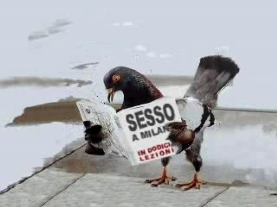 Sesso a milano