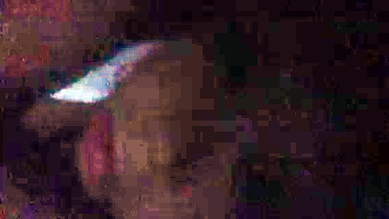 Merica is a rainforest