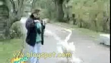 American funniest clips ever