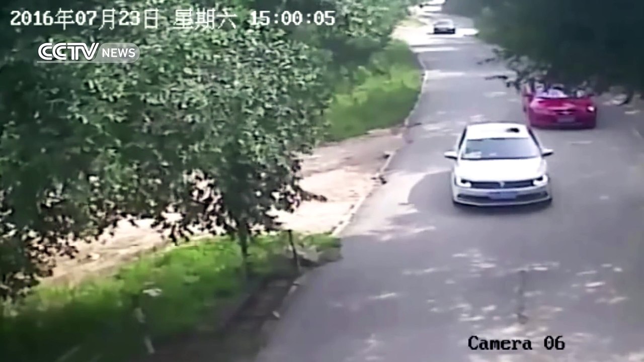 Footage shows shocking tiger attack in Beijing's wildlife park