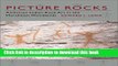 [Popular] Picture Rocks: American Indian Rock Art in the Northeast Woodlands Kindle Free