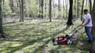 How to mow your lawn with a Pet Playgrounds dog fence installation
