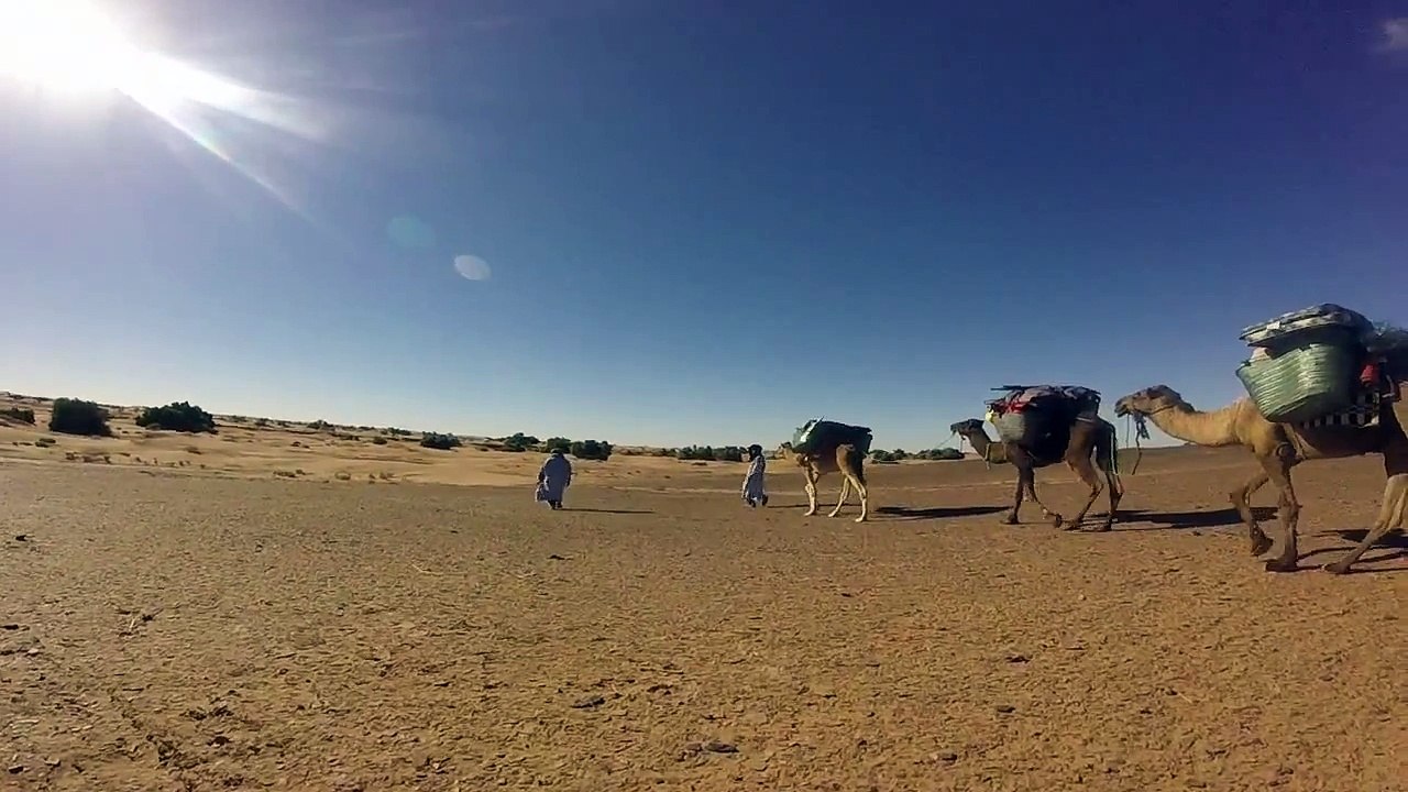 Camel trekking in Morocco - Trekking in Morocco – Sahara Desert Tours