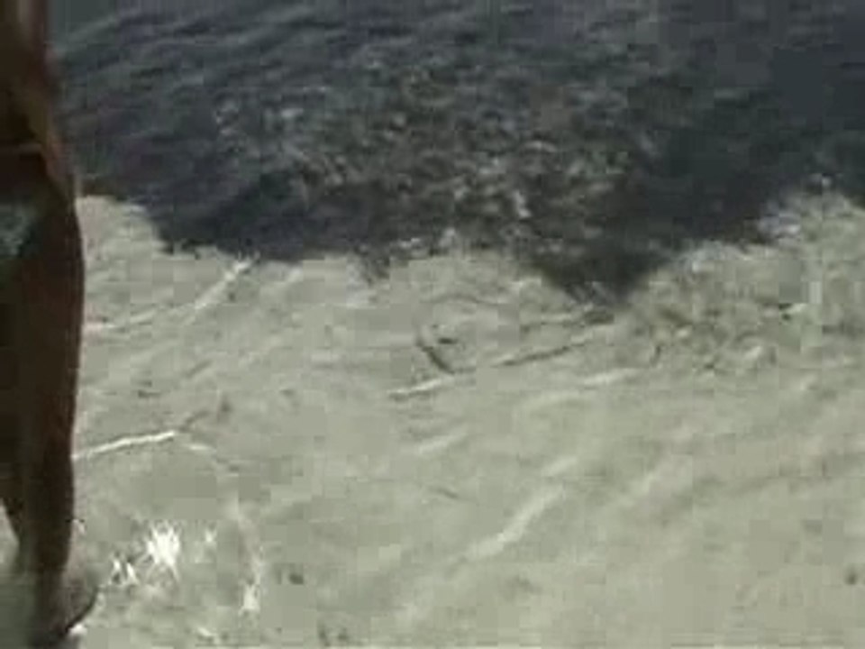 Les raies des Maldives