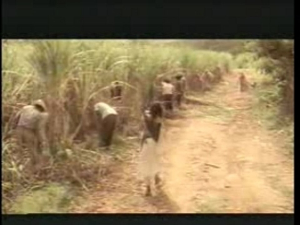 Nathalie Cardone - Hasta Siempre Comandante Che Guevara