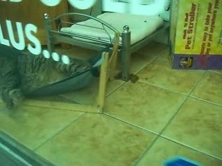 Mariko à Montréal 001