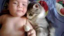 Dès Le Premier Contact, Ce Chat N'arrive Plus À Se Défaire De Ce Petit Bébé. Câlins À Volonté !