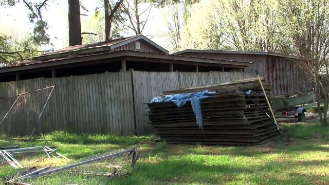 Après avoir passé toute sa vie dans une petite cage rouillée, ce chihuaha reprend goût à la vie