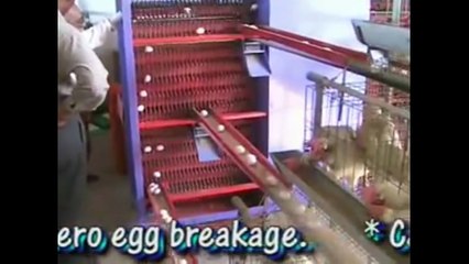 Amazing egg collection system  Awesome egg collector compilation 2016