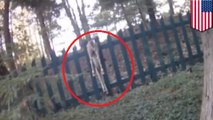 Michigan cop filmed saving deer stuck upside down on a fence - TomoNews