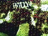 WWE titantron - NWO