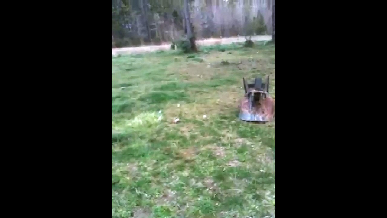 0413943 Kid In Blue Attempts A Jump Over Wheelbarrow And Crashes