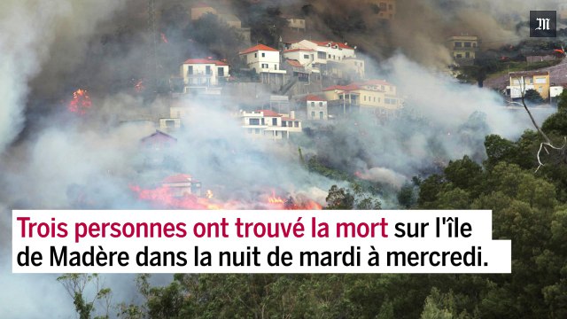 Violents incendies au Portugal