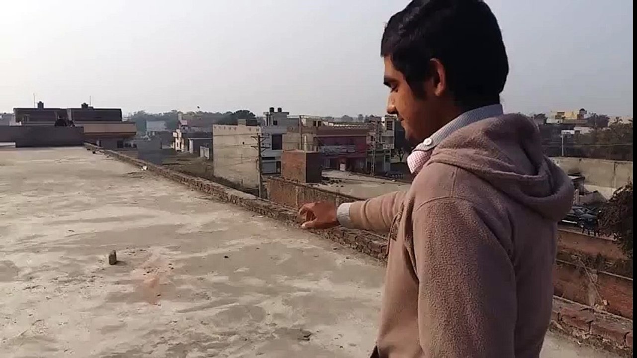 zafarwal talent