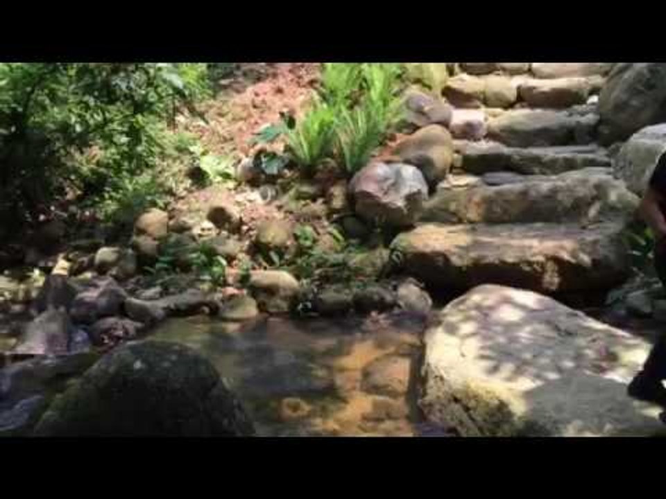 Carson's Creek at Setia EcoTempler