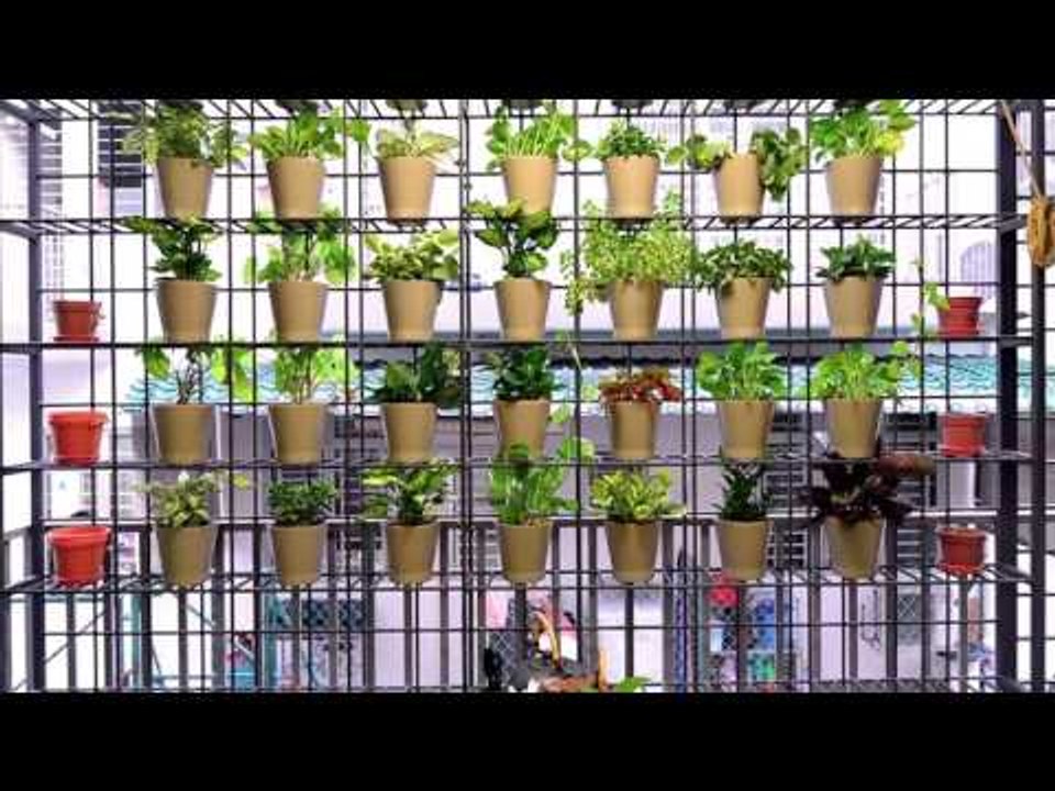 Haven/The Edge My Dream Home Awards 2015: Terraced Category Honorary Mention