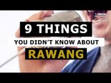 9 Things You (Probably) Didn't Know About Rawang