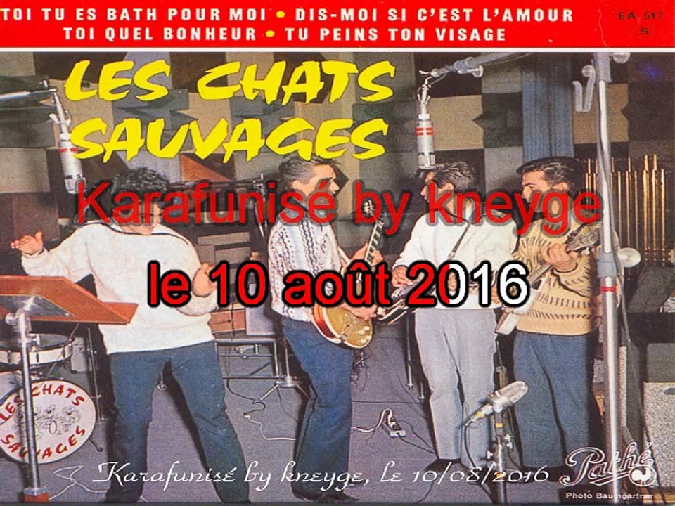 Les Chats Sauvages & Dick Rivers_Tu peins ton visage (1961)(GV)