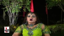 LAK PATLA DHOLDA - PAKISTANI MUJRA DANCE
