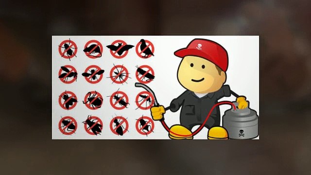 Pest Control Boise Idaho