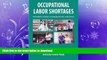 FAVORIT BOOK Occupational Labor Shortages: Concepts, Causes, Consequences, and Cures FREE BOOK