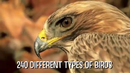 Hit List Hidden " Facts About Greece " Country 2016