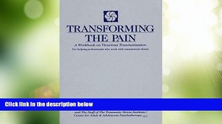 Big Deals  Transforming the Pain: A Workbook on Vicarious Traumatization (Norton Professional