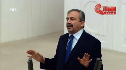 Sırrı Süreyya Önder'den Sert Dokunulmazlık Resti  Tırşıkçi Değiliz