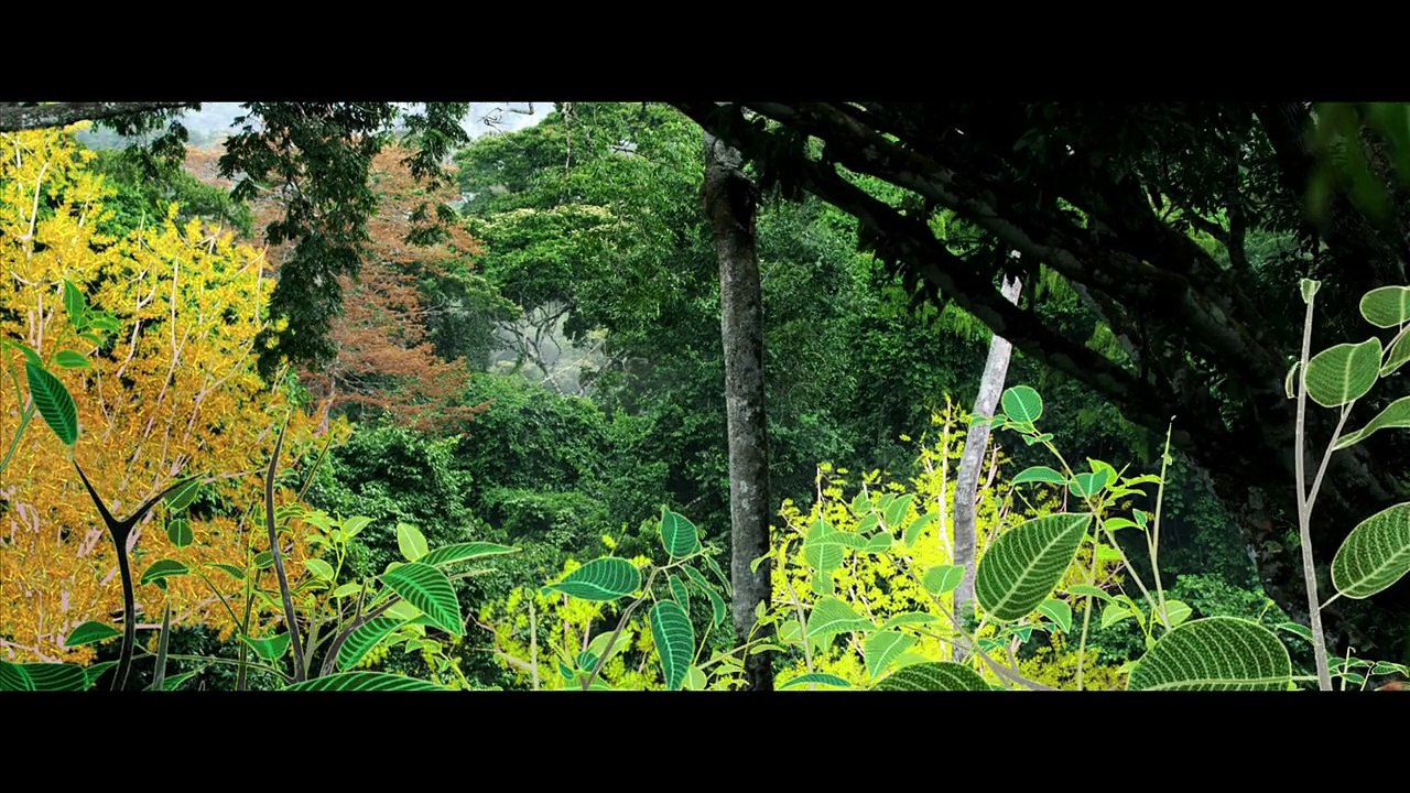Il Etait une Forêt - VF