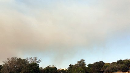 Incendies : le feu vu du parc Borély
