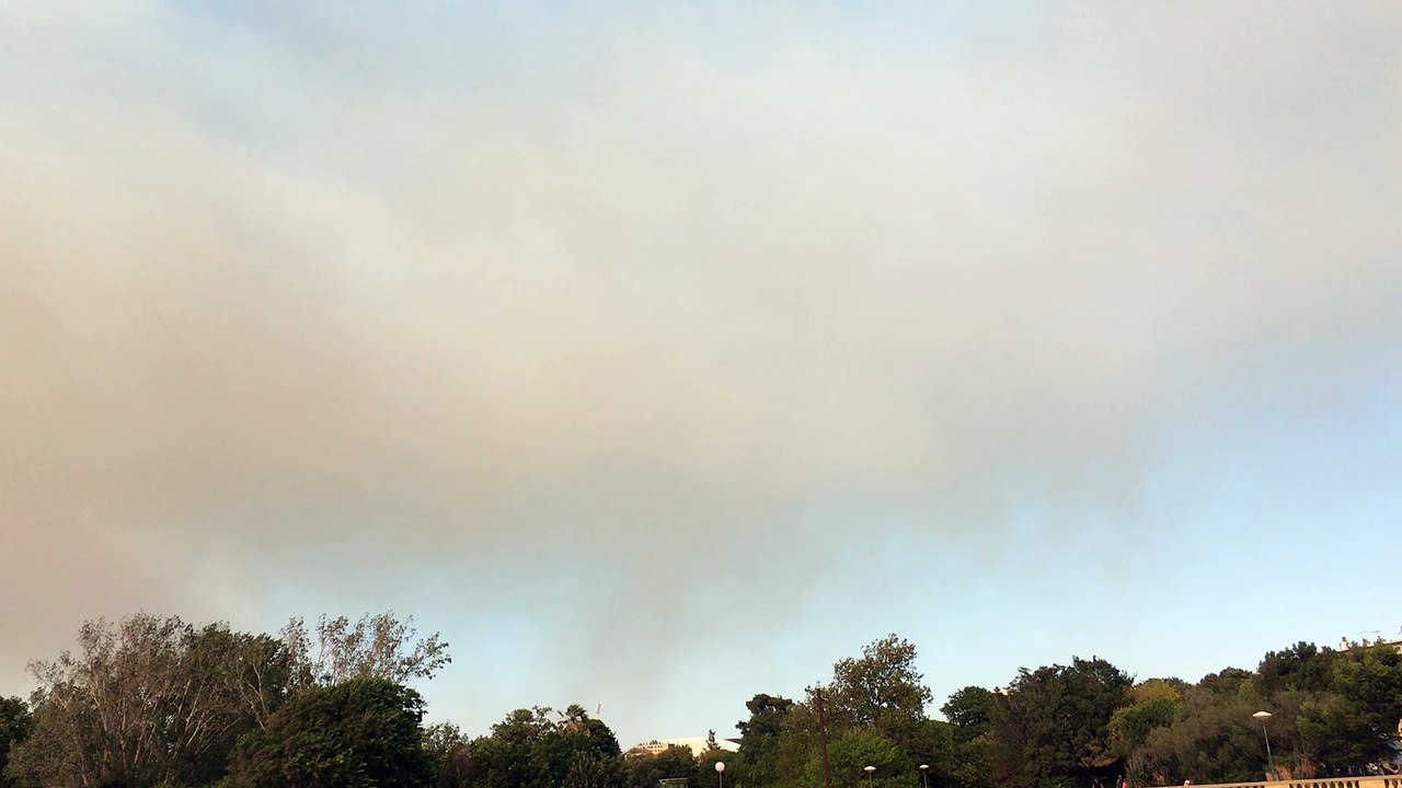 Incendies : le feu vu du parc Borély