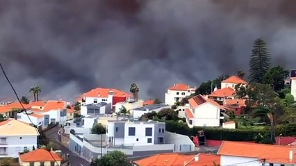 Madeira wildfires: Three dead and hundreds evacuated