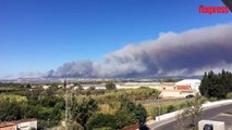 Feux violents dans les Bouches-du-Rhône: plus de 600 hectares déjà partis en fumée