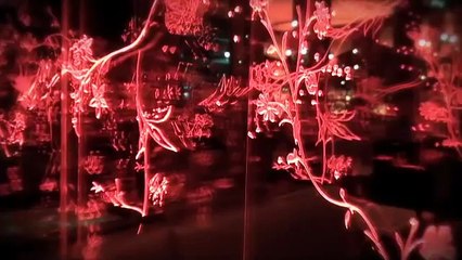 Deiss Dinner Chez Senderens à Paris le Vendredi 20 Novembre 2010