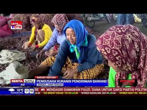 Pasokan Bawang dari Brebes ke Jakarta Berkurang