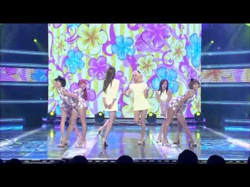 헬로비너스 차 마실래    쇼챔피언 65회