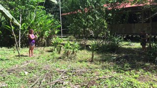 Lizard Behavioral Research in The Amazon Rainforest