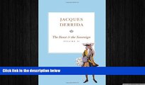 different   The Beast and the Sovereign, Volume II (The Seminars of Jacques Derrida)